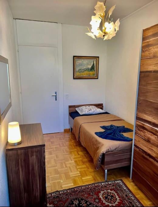 Appartement 7,0 Pieces 3 Chambres Proximite Aeroport Geneve Exteriör bild